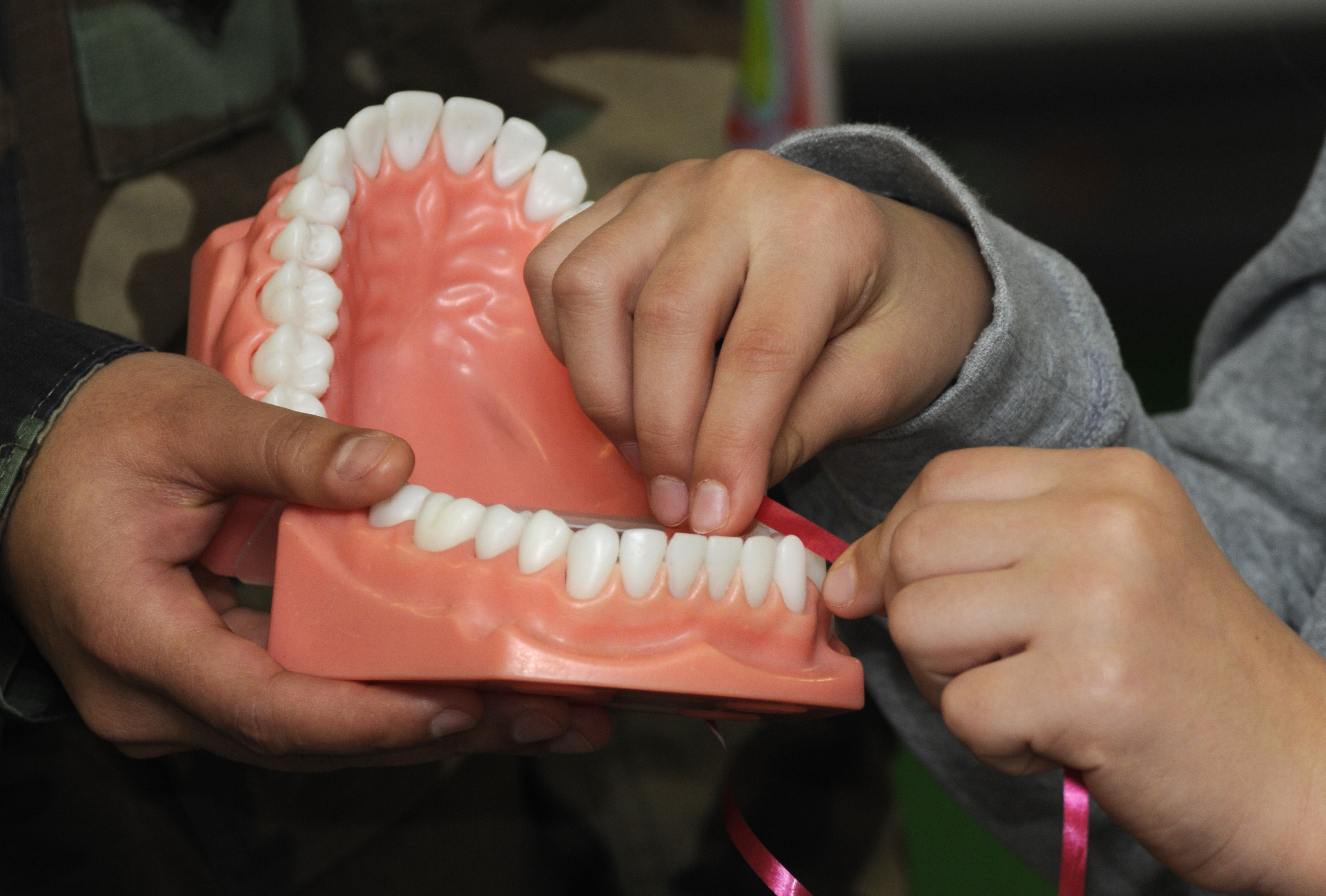 teeth