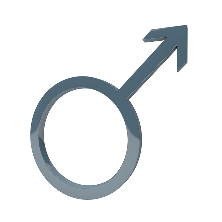 male fertility